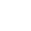 Professional Icon